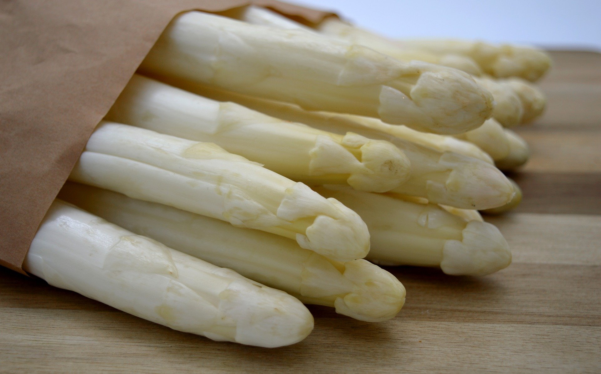 Asperge des sables des landes