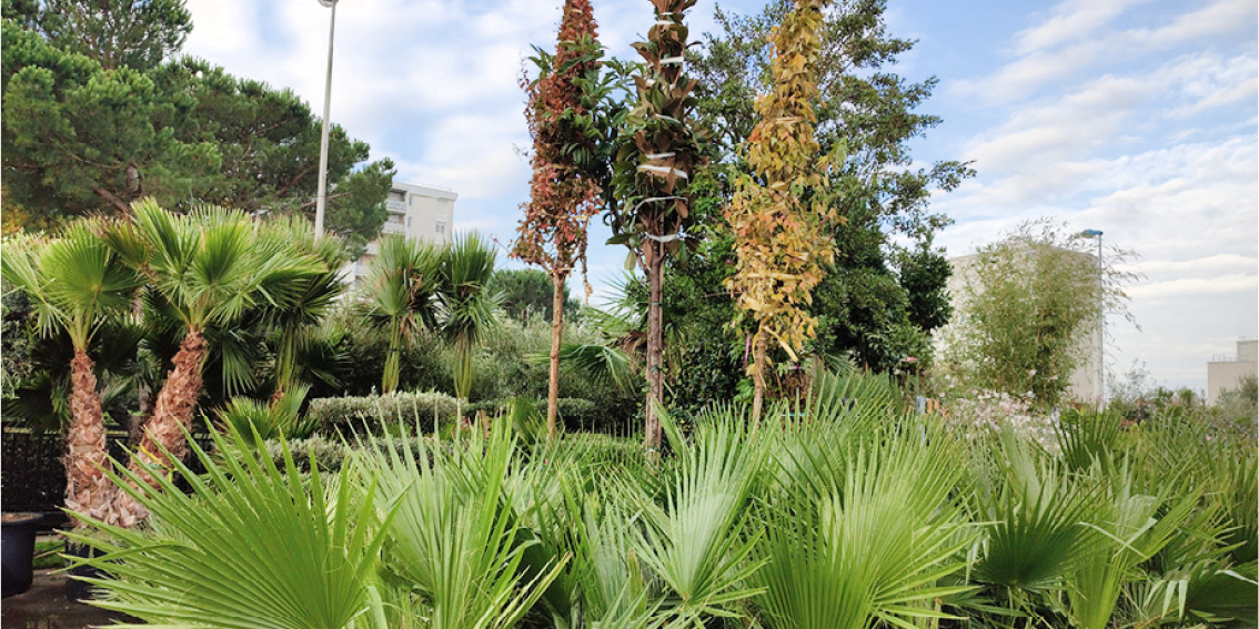 Quelle est la différence entre une jardinerie, une pépinière à Bordeaux et un grossiste en végétaux ?